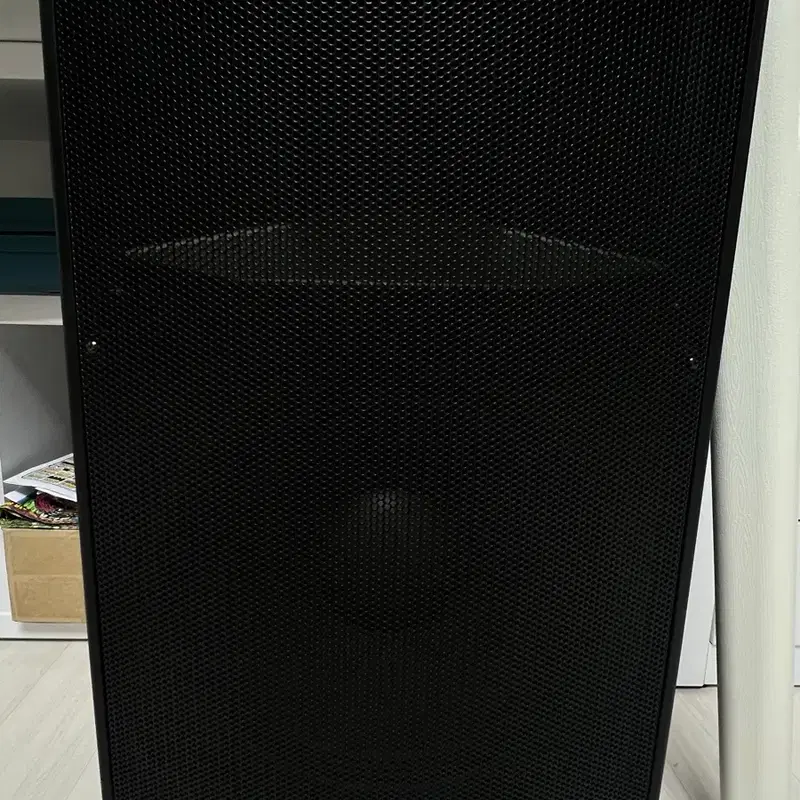 DENICS DY-103AW 스피커