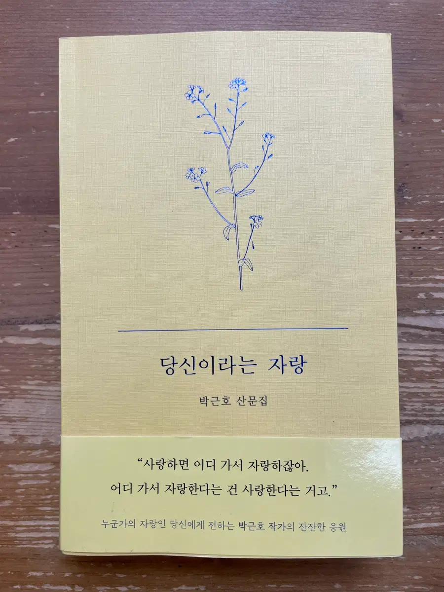 당신이라는 자랑 : 박근호 산문집