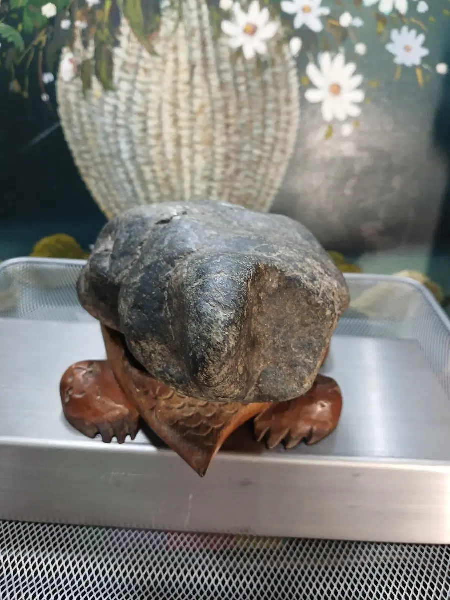 돌 거북이 조각 장식품
