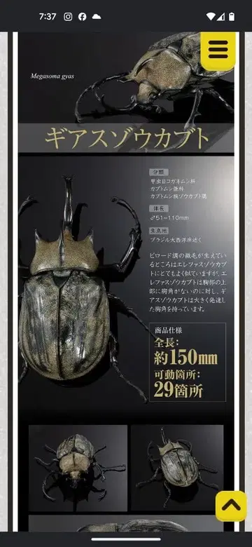생물대도감 어드밴스 기어스 조 카부토 캡슐 토이 온라인판