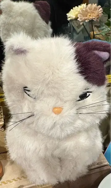 지브리 동동이 공화국 지브리 파크 귀를 기울이면 문 봉제 인형
