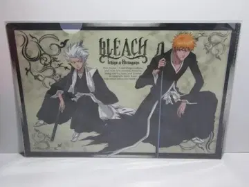 클리어 파일 BLEACH 블리치 쿠로사키 이치고 & 히즈카야 토시로