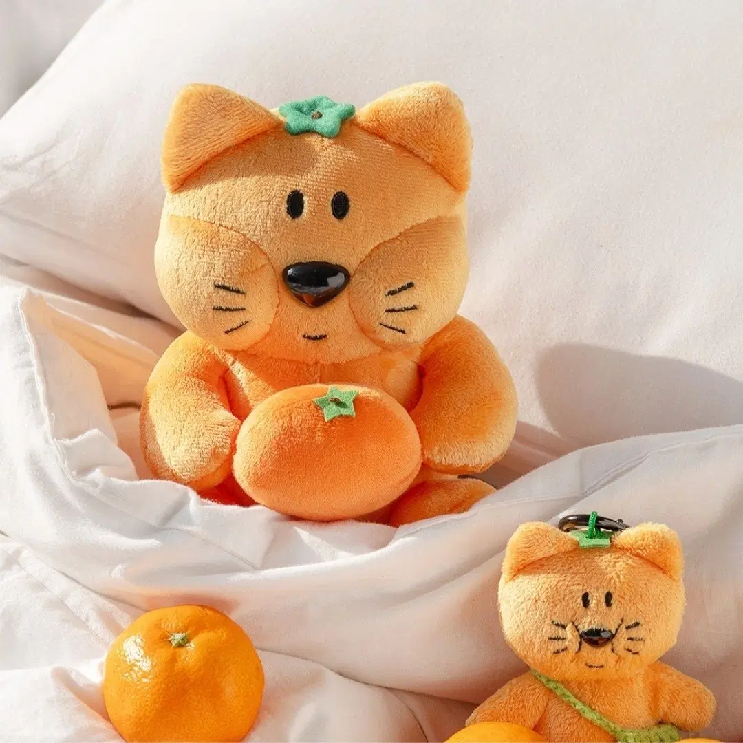 브런치브라더 푸디 인형 귤고양이 인형