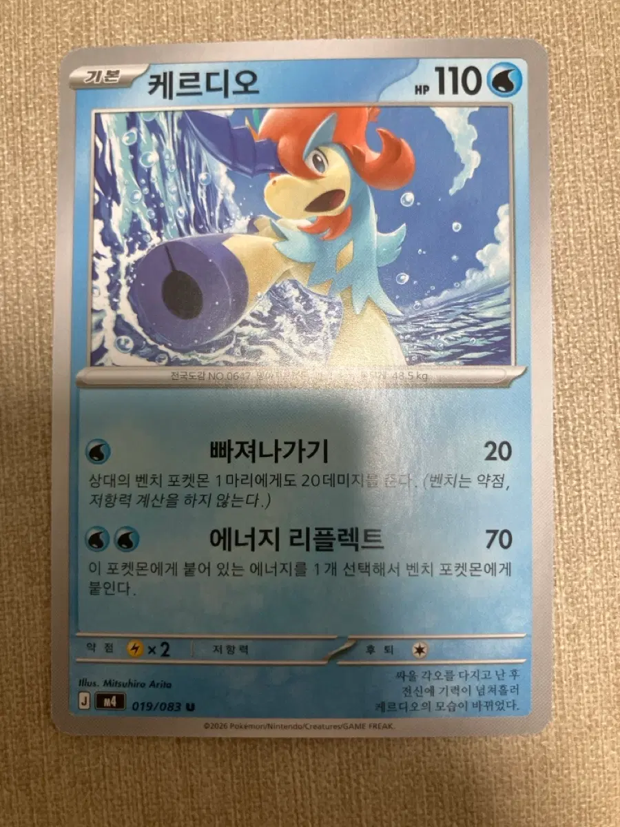 포켓몬카드 케르디오