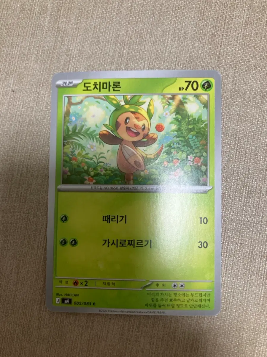 포켓몬카드 도치마론