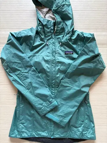 Patagonia 마운틴 후드티 그린