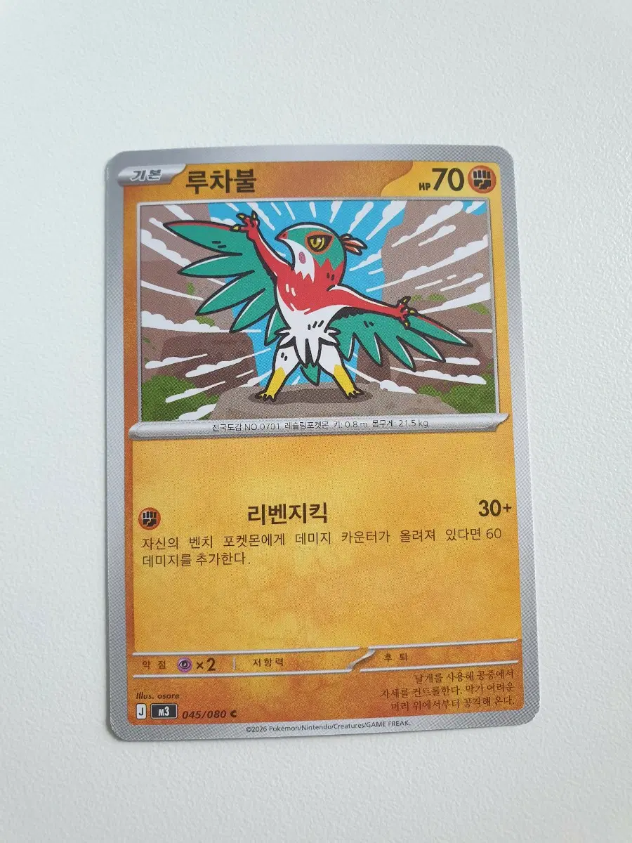 루차불 포켓몬카드