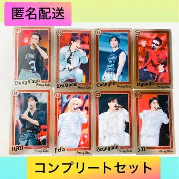 straykids 스키즈 dominATE 에코파 라이브 포토카드