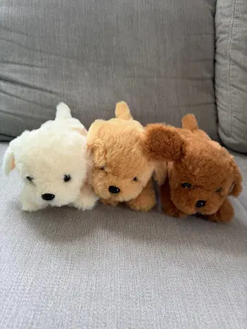 강아지 봉제 인형 3체 세트 골든 리트리버 모미지의 아이 강아지