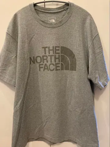 THE NORTH FACE 티셔츠 그레이