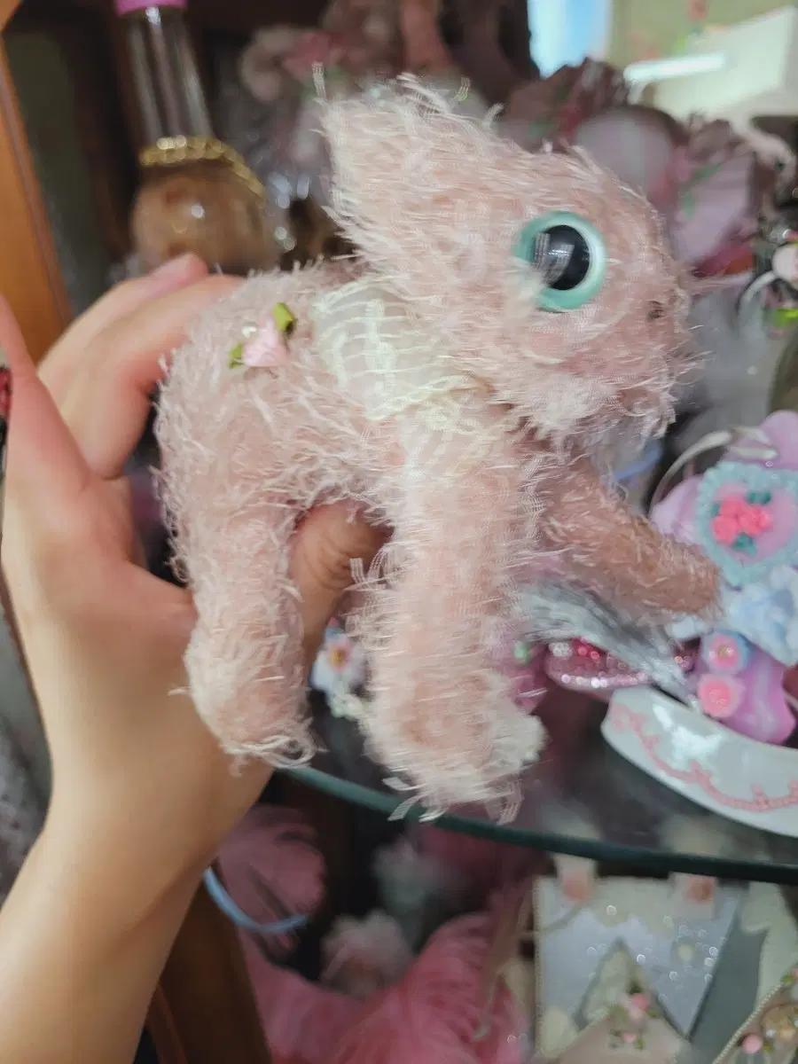 핑크색 털뭉치 수입 핑크냥이 프랑스