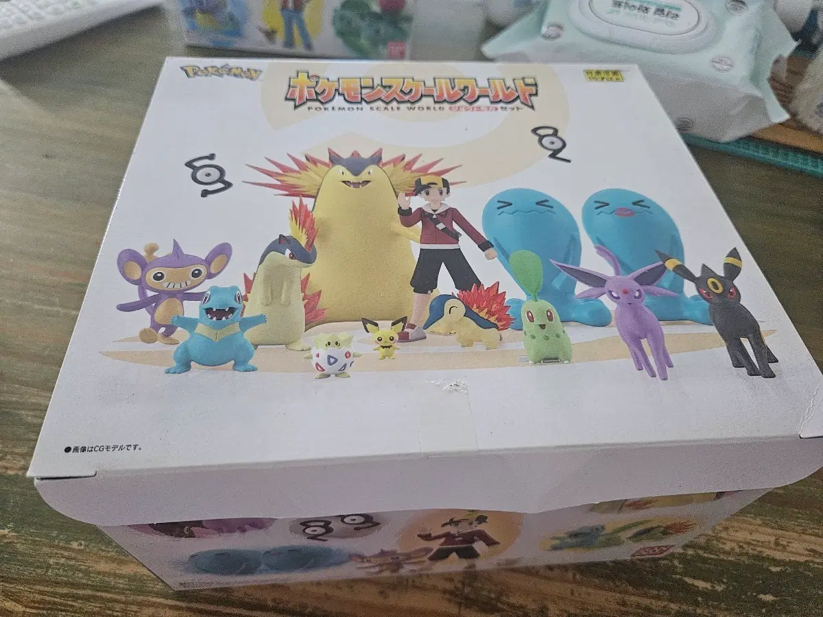 포켓몬 스케일월드 성도