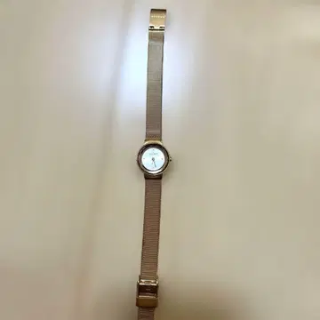 SKAGEN 손목시계 골드 메쉬 벨트