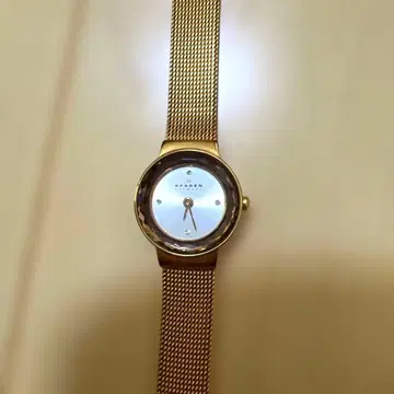 SKAGEN 손목시계 골드 메쉬 벨트