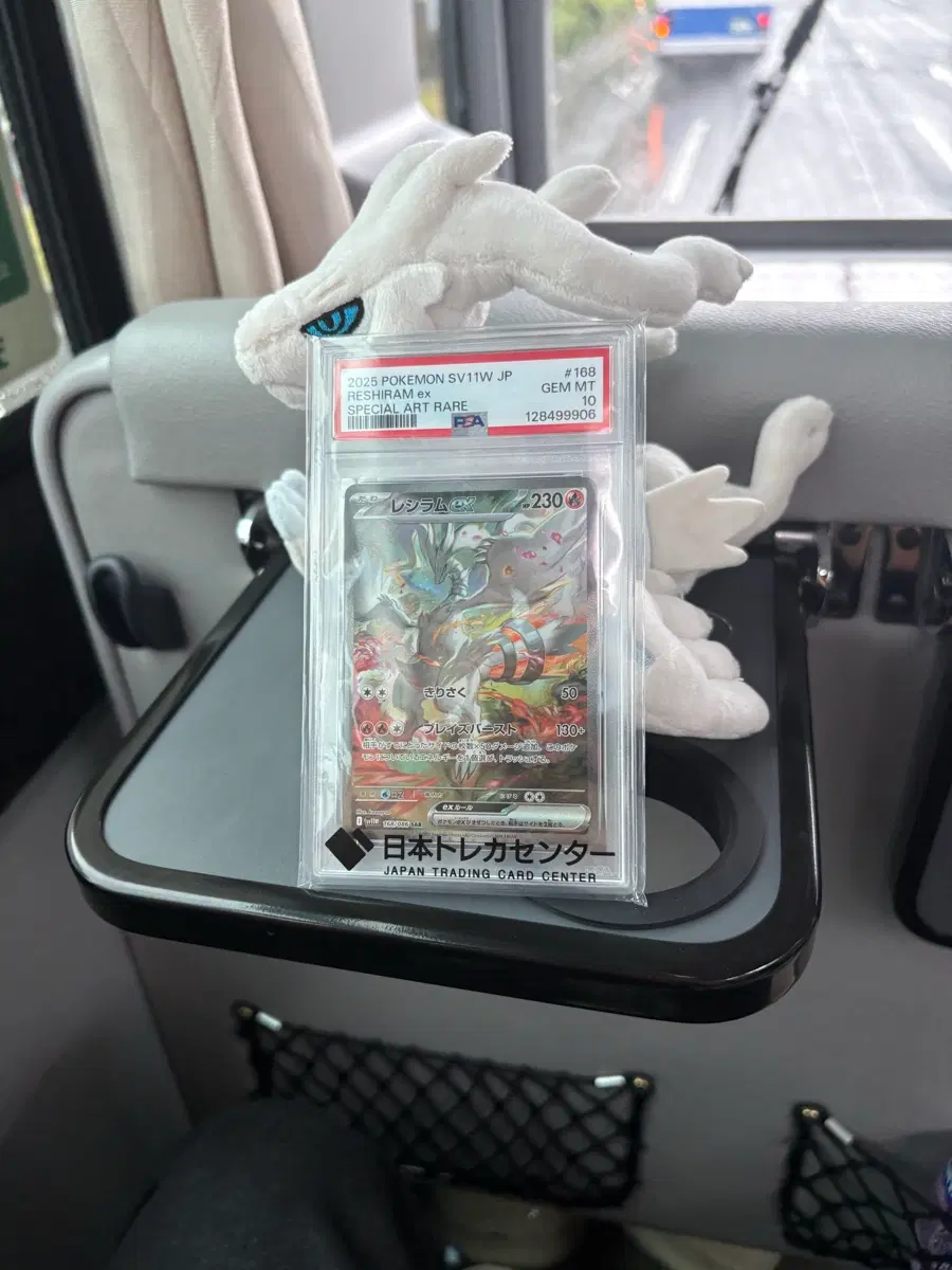 레시라무 sar psa10 일판