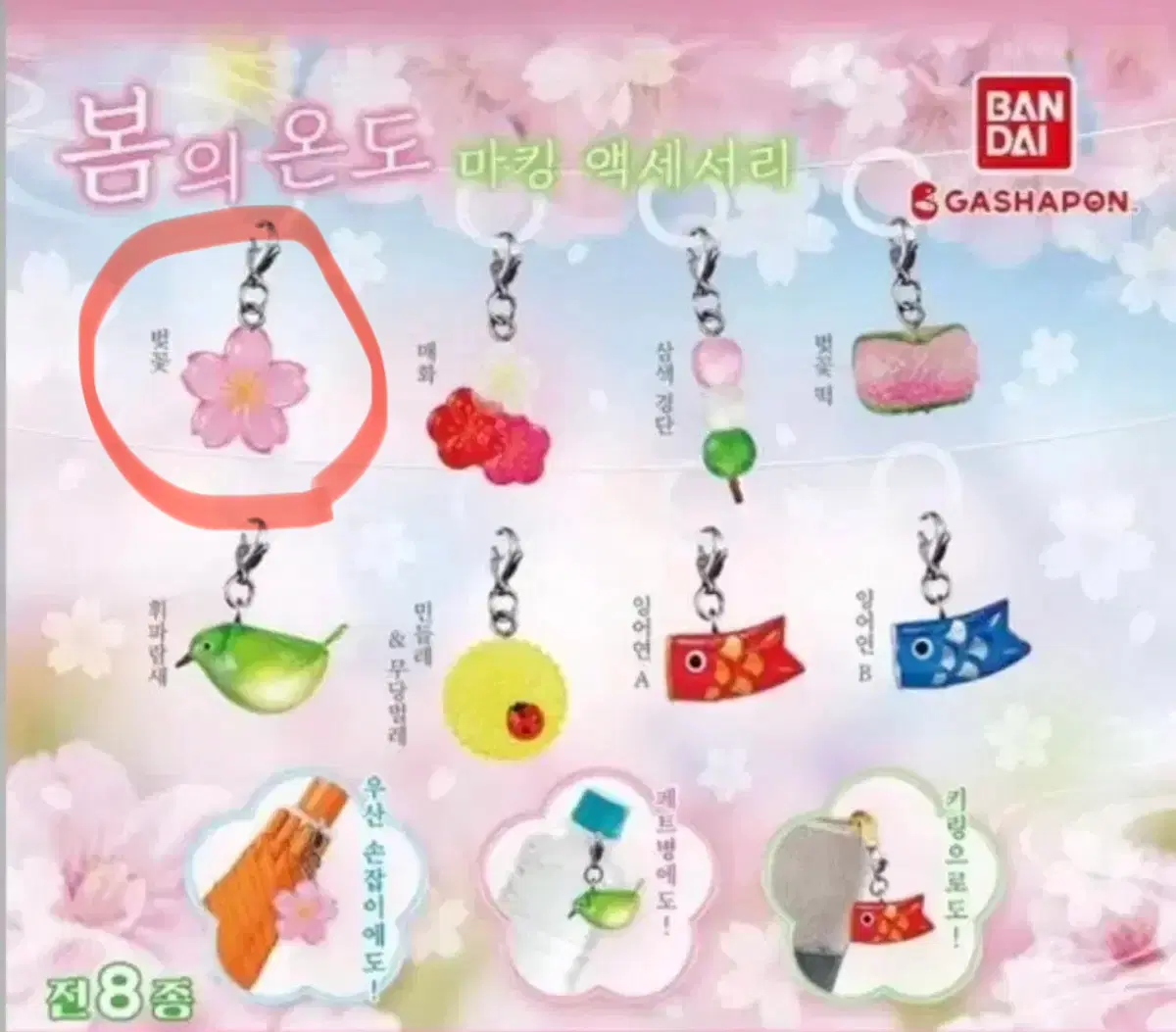 봄의 온도 메지루시 - 벚꽃