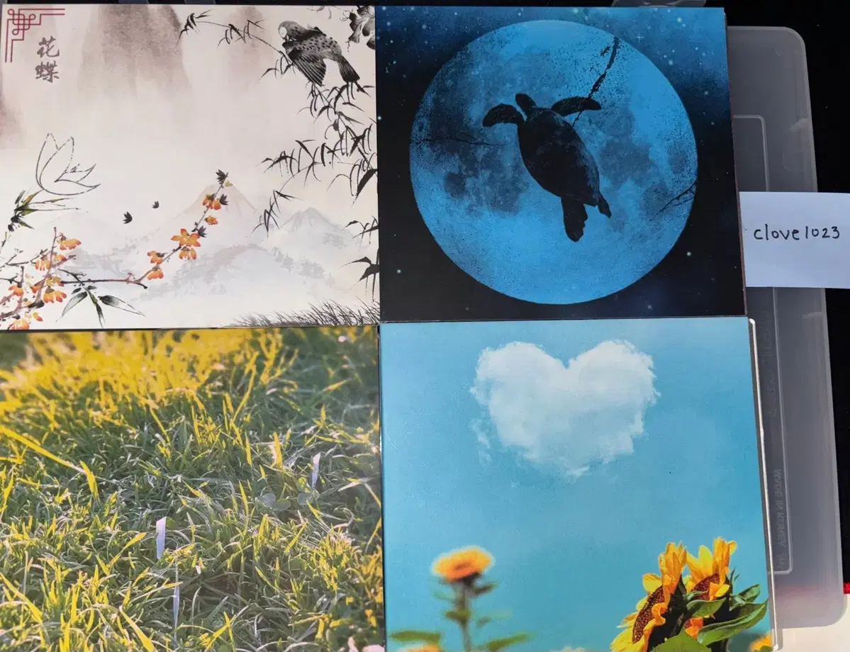 류현준 cd 거북이
