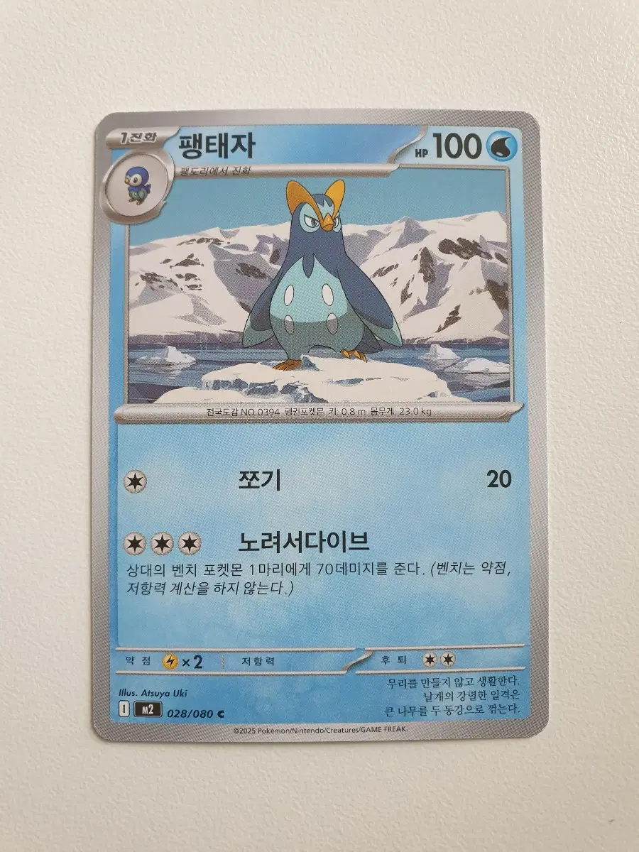 팽태자 포켓몬카드
