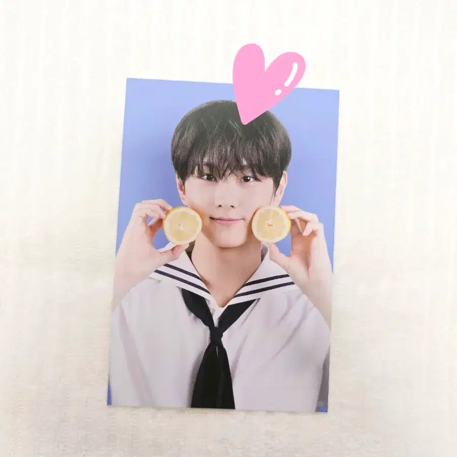엔하이픈월드 정원 포스트카드 엽서 Postcard 포카