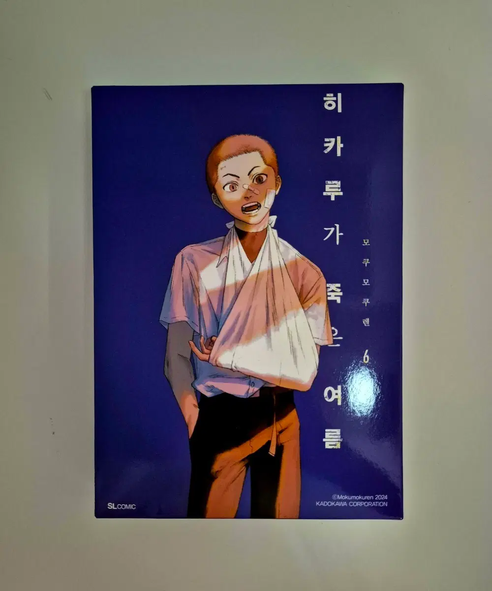히카루가 죽는 여름 6권 특장판