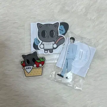 TXT 태현 가챠 다고냥 아크릴 배지