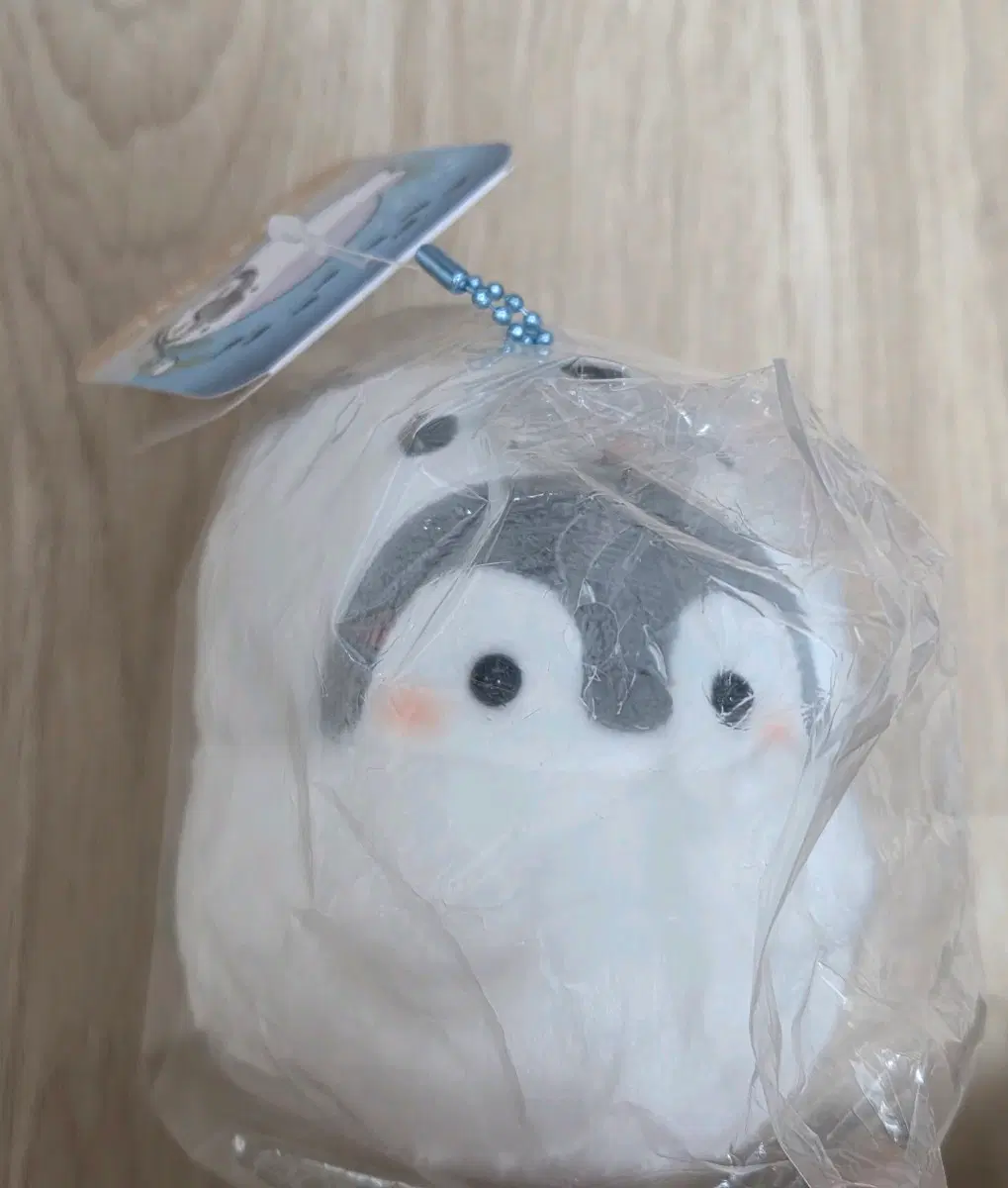 물개 코우펜짱