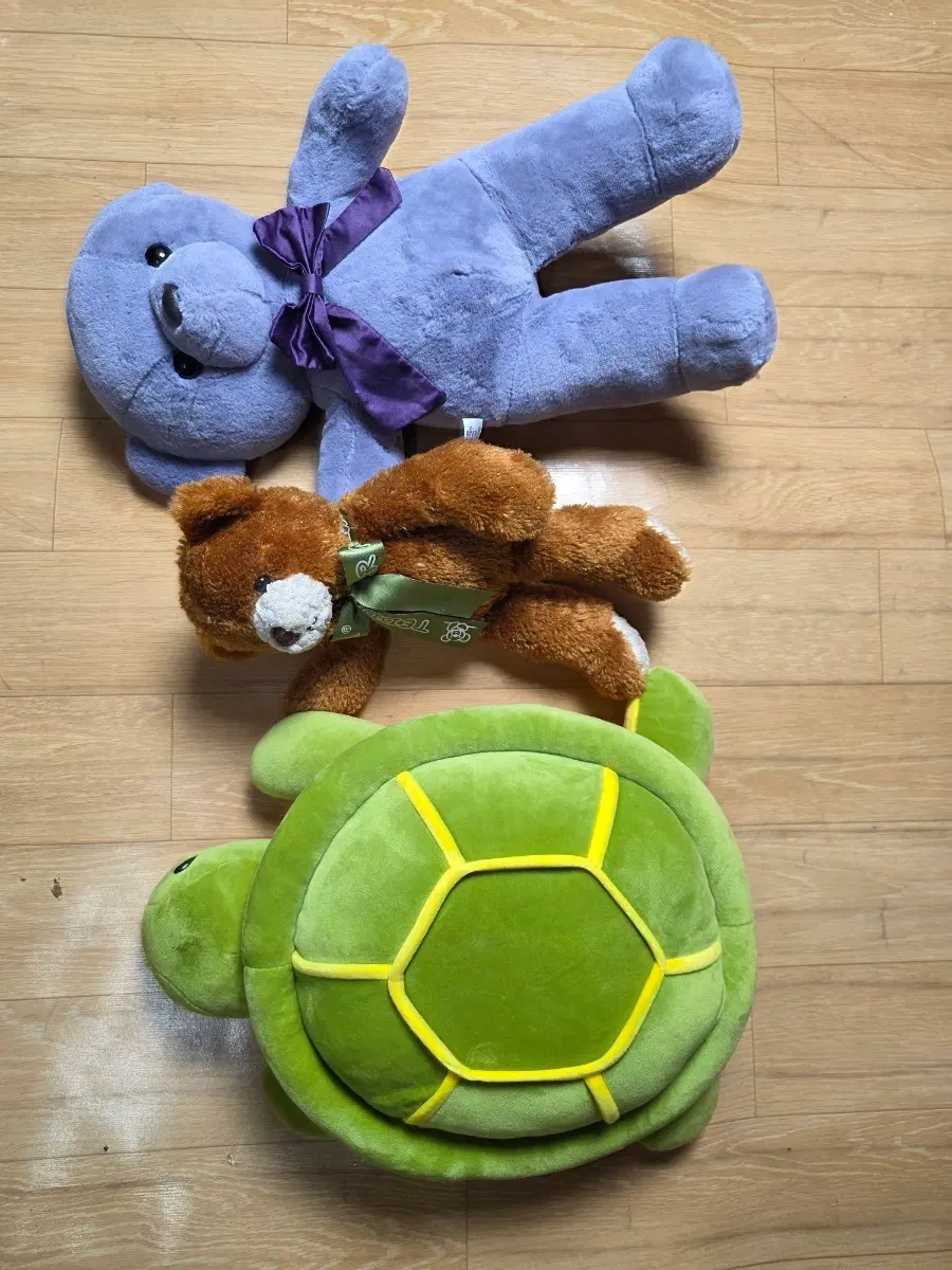 인형 세트 곰인형 거북이인형
