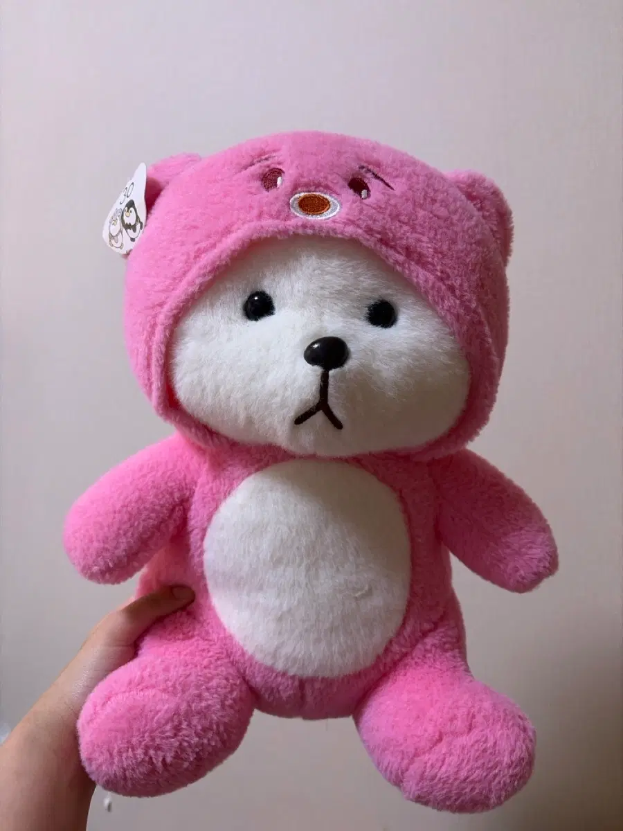 핑크색 곰돌이 인형
