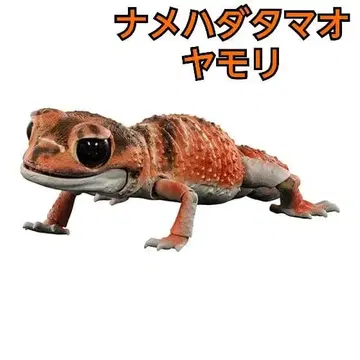 [ 새상품 ] 생물대도감 점액질알도마뱀