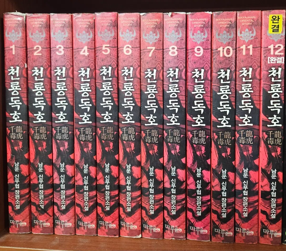 천룡독호1-12완