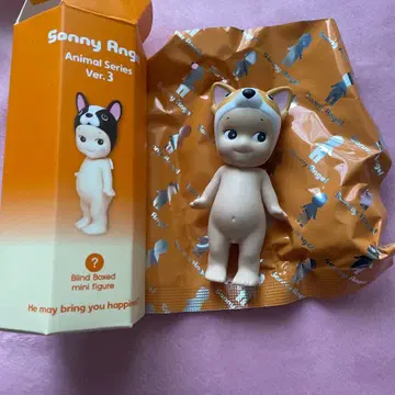 소니 엔젤 치와와 Chihuahua 애니멀