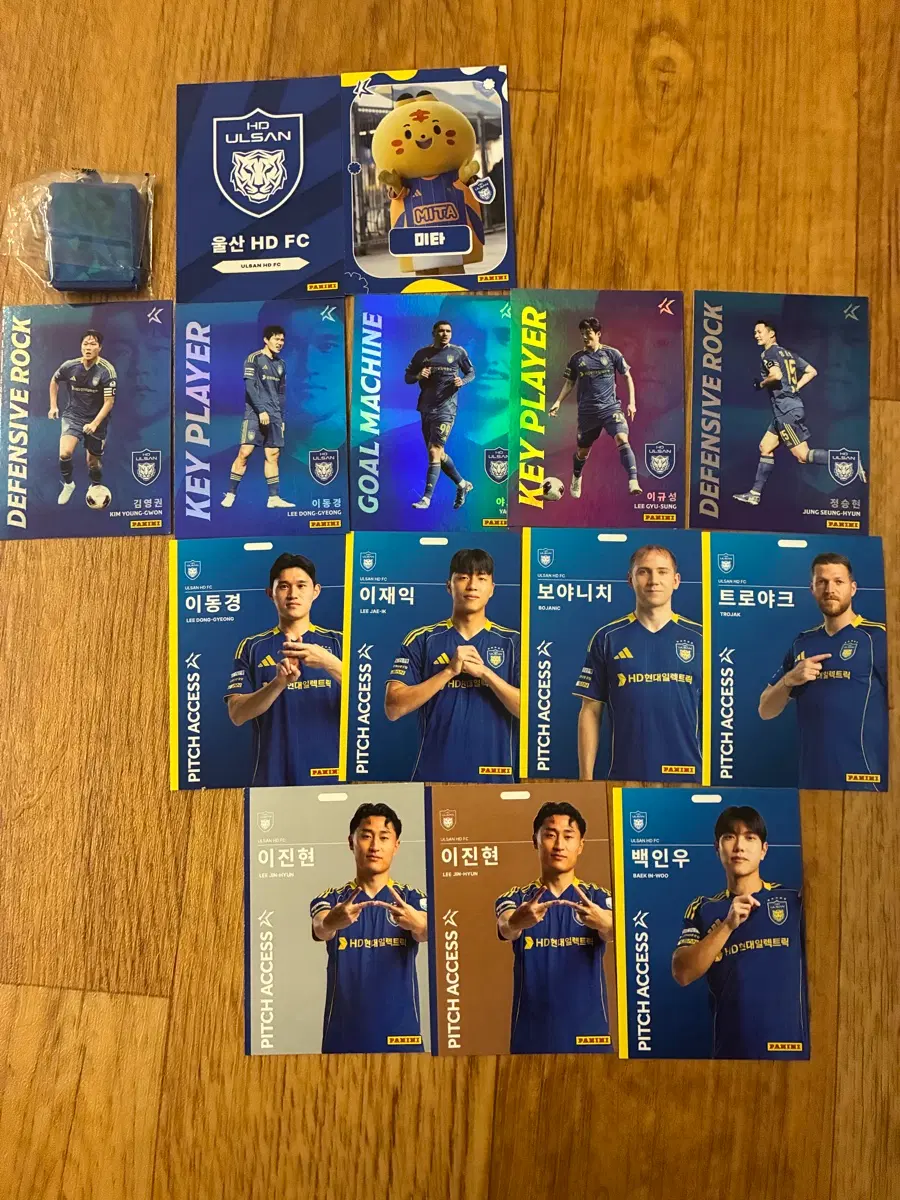 울산HD FC 2026 파니니카드(일괄)