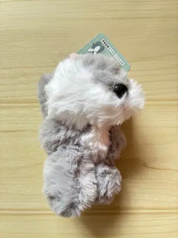 mojojojo Teddy JOJO 복슬복슬 마스코트 봉제 인형 늑대