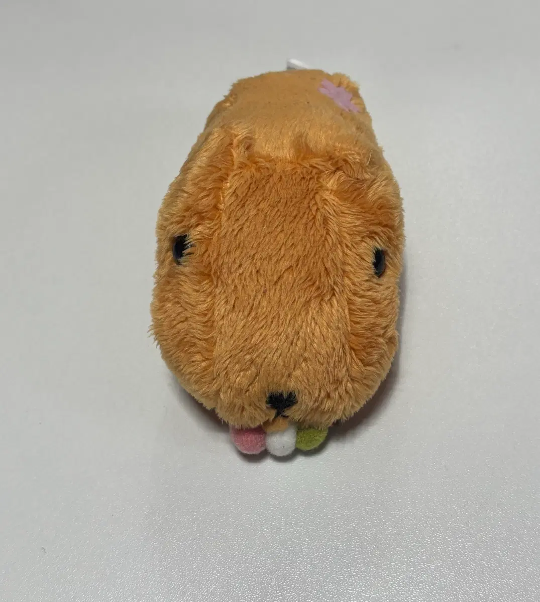 카피바라상 인형