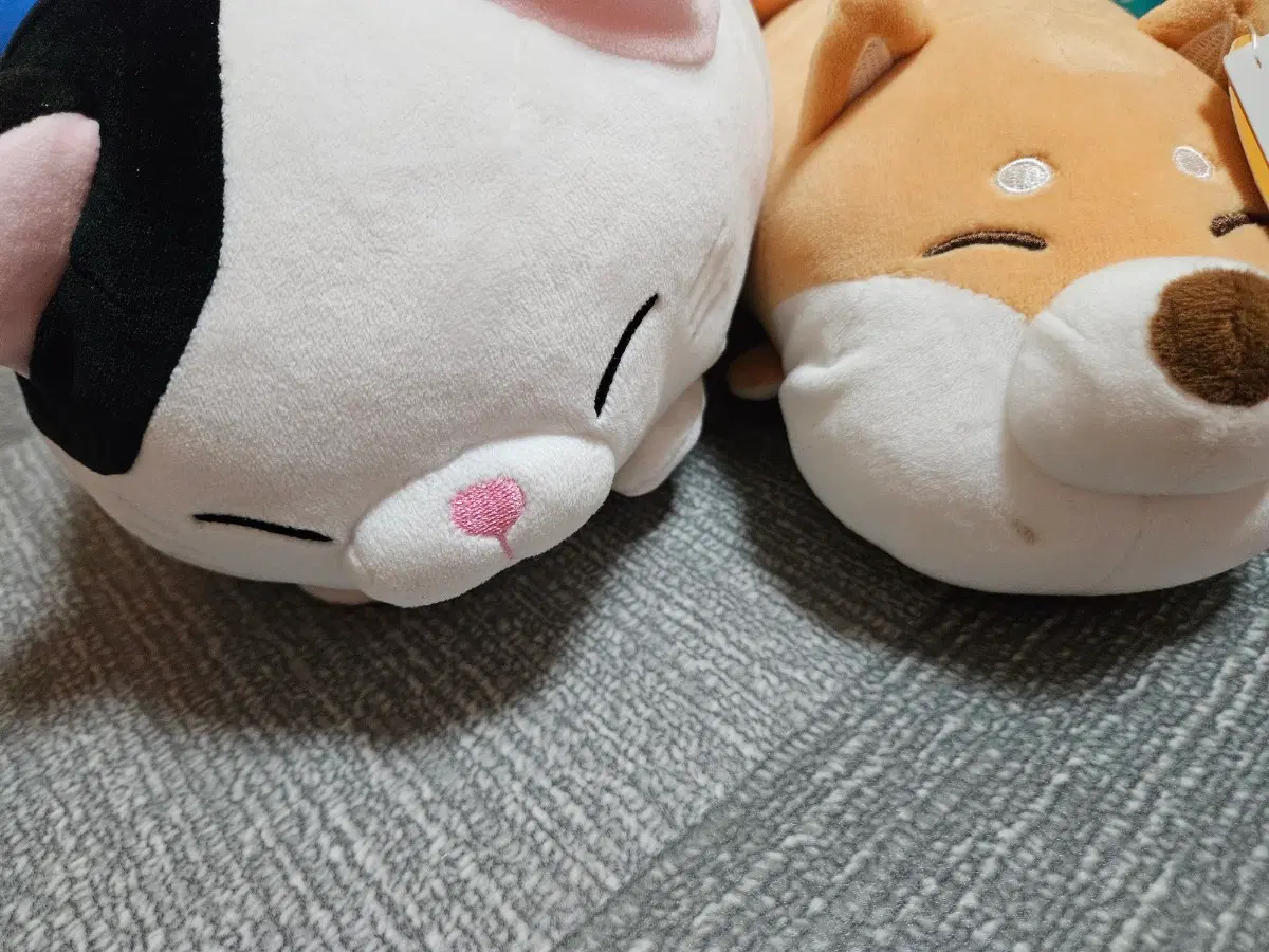 랜덤 인형 무료나눔
