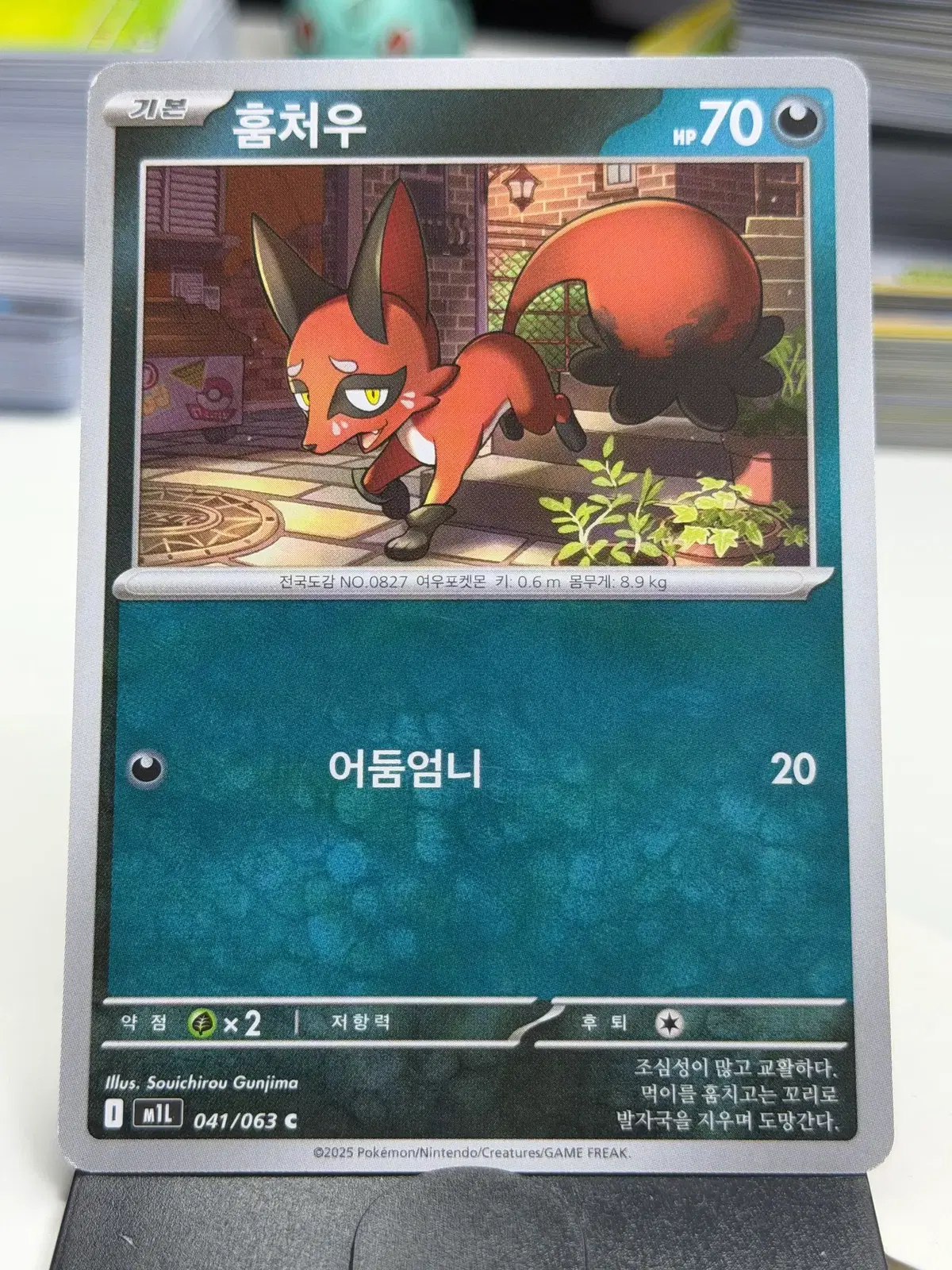 훔처우 m1L 041/063 C (300)원