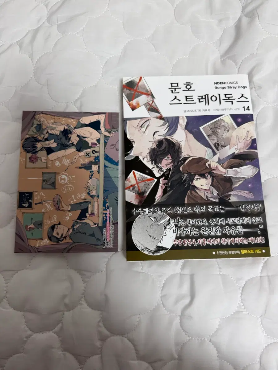 문호스트레이독스 문스독 14권 초판 만화책