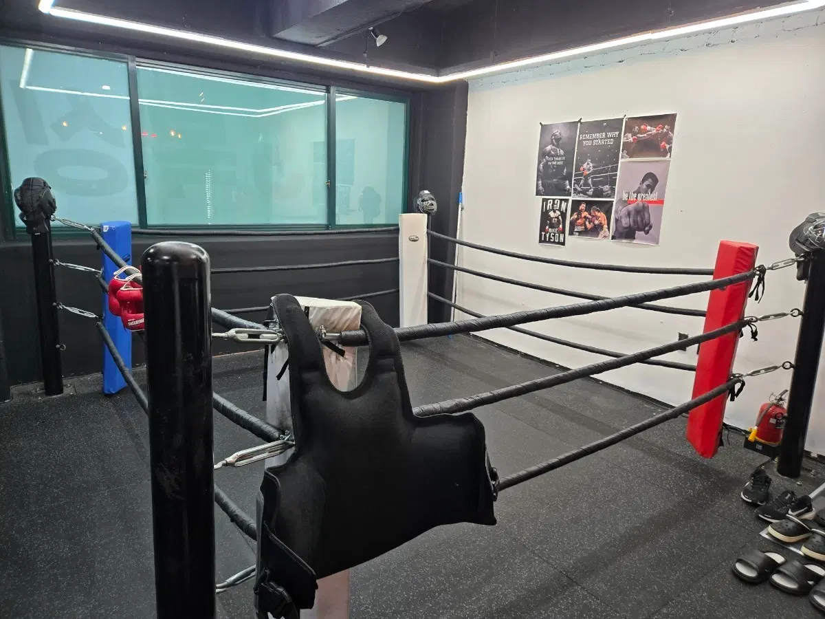 복싱 링