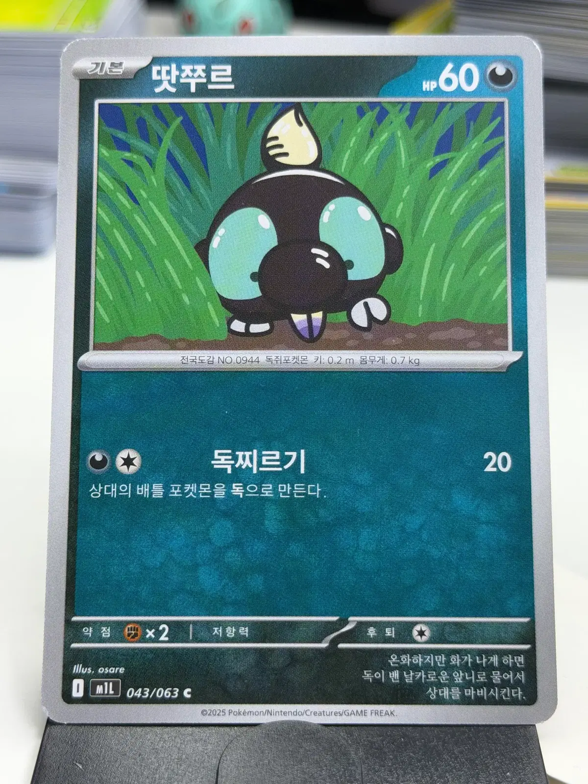 땃주르 m1L 043/063 C (300)원