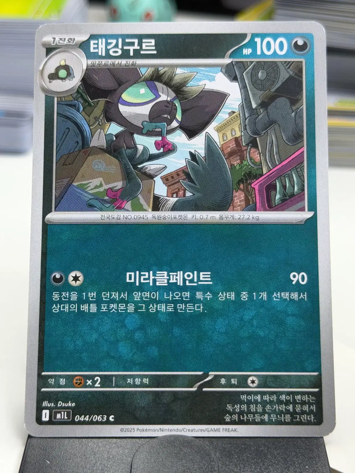 태깅구르 m1L 044/063 C (300)원