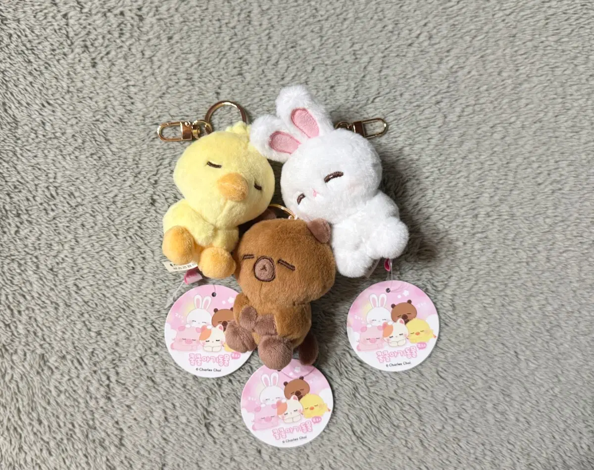 (세트) 쿨쿨아기동물 토끼+카피바라+병아리 인형 키링 일괄