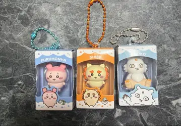 치이카와 (먼작귀) 초코 박스 헌책방 시사 그 아이