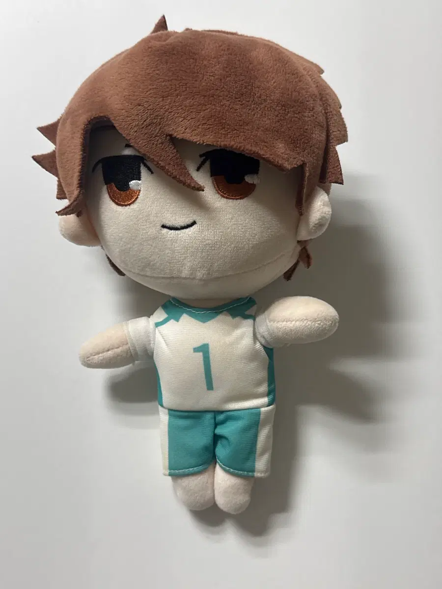하이큐 오이카와 누이