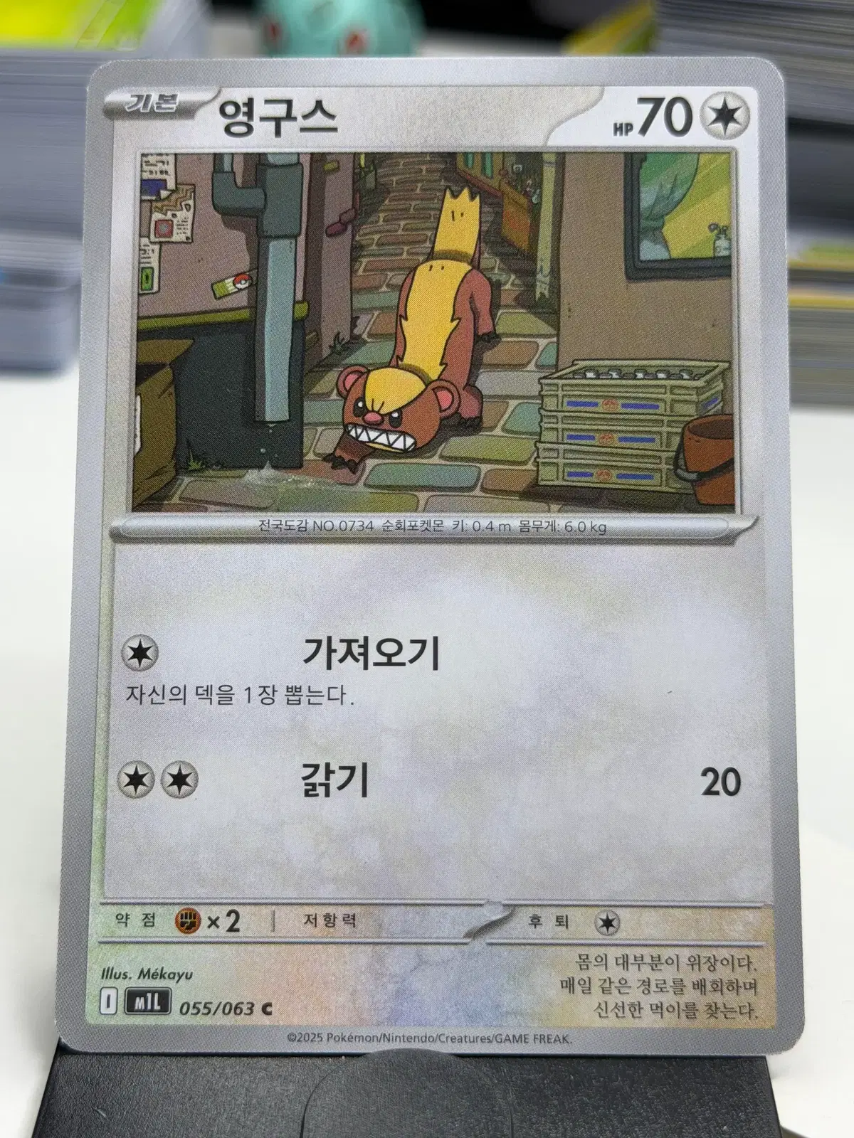 영구스 m1L 055/063 C (300)원