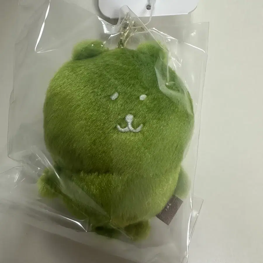말차 농담곰