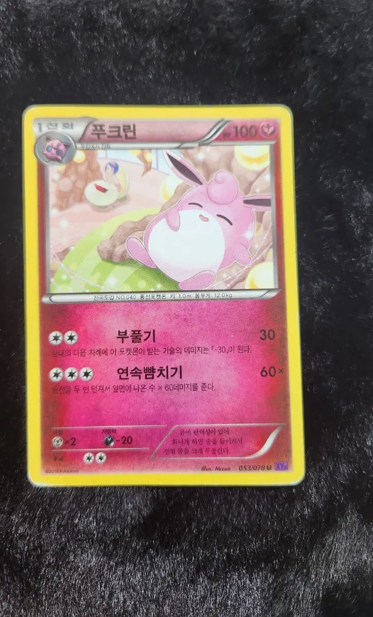 포켓몬카드 푸크린 XY