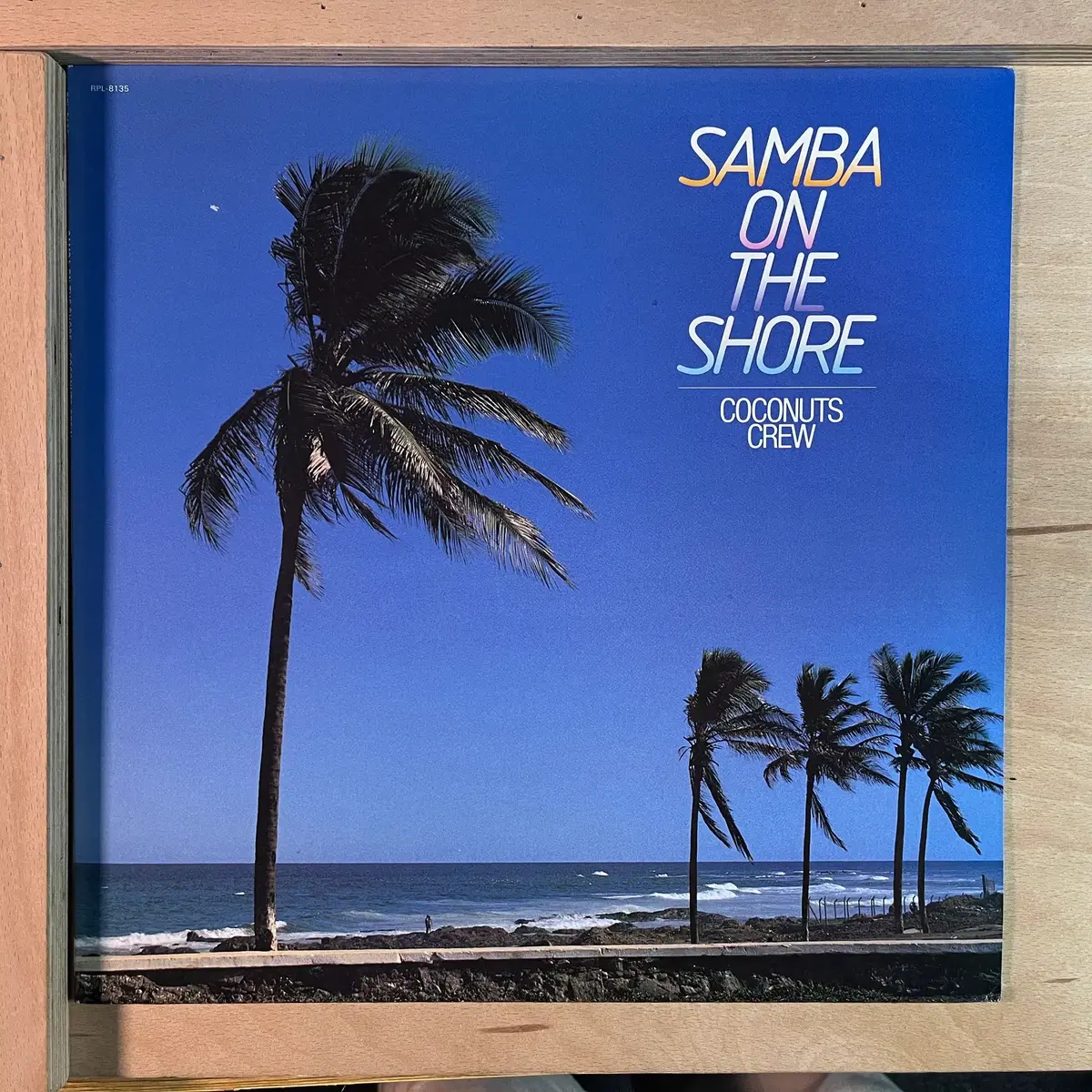 Coconuts Crew Samba On The Shore 일본 초반