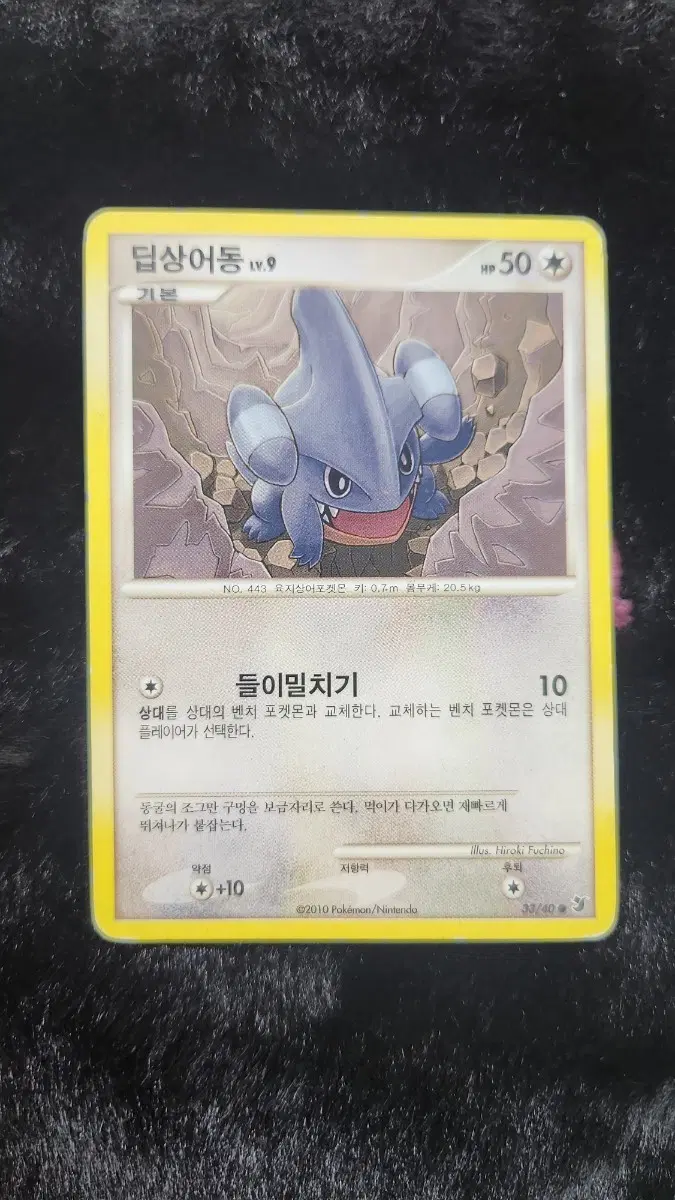포켓몬카드 딥상어동