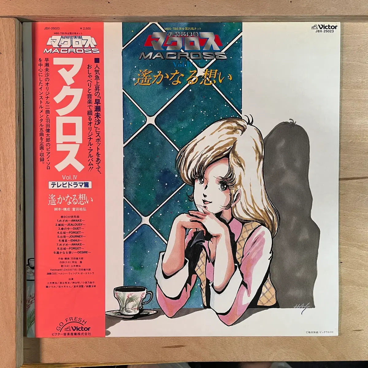 초시공요새 마크로스 Vol. IV 아득한 그리움 일본 초반 1983년