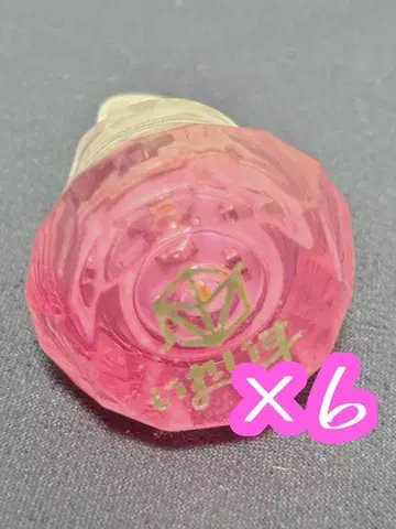 이레이스 링 라이트 나이코